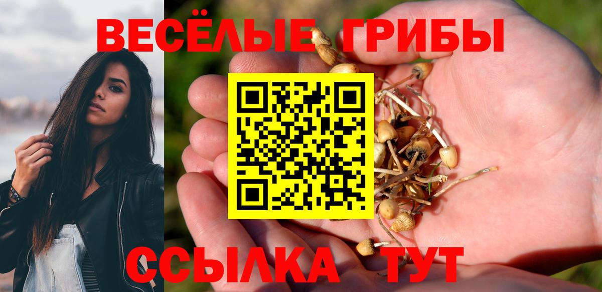 Буйнакск  Псилоцибиновые грибы Psilocybe  Вход с VPN 