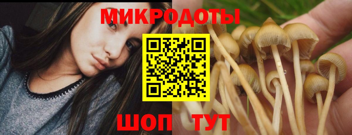 Галлюциногенные грибы Magic Shrooms Буйнакск