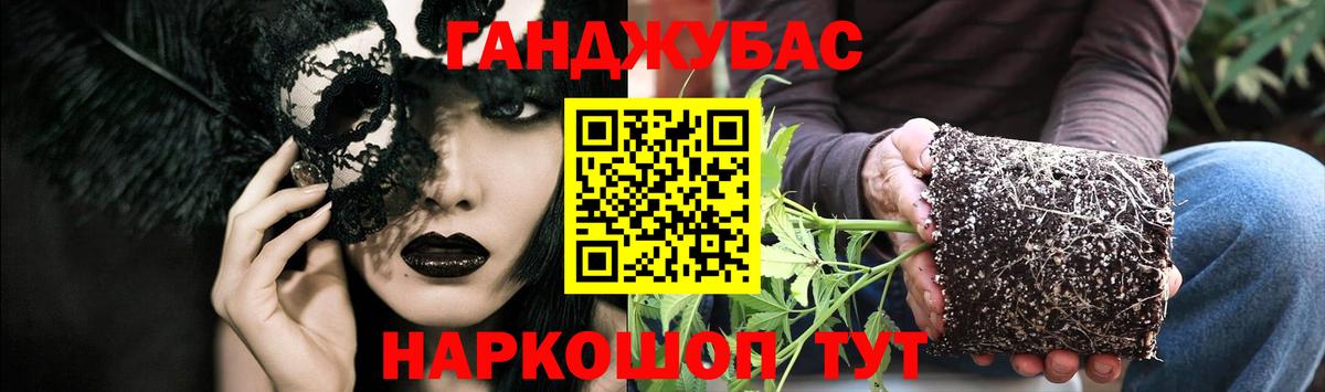 Шишки марихуана Bruce Banner  Шишки марихуана план  Буйнакск  Вход с VPN 